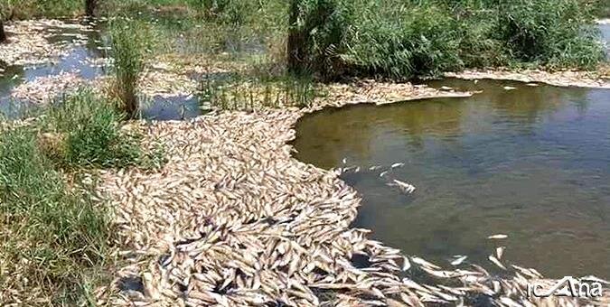 درخواست نمایندگان مازندران برای رسیدگی به وضعیت سیل زدگان