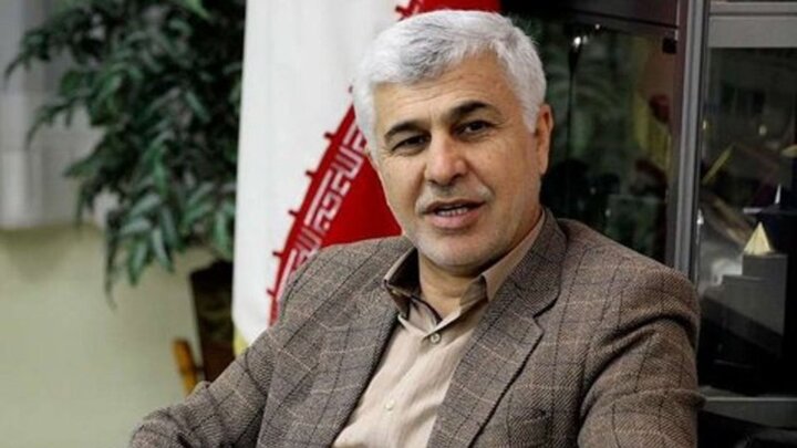 احتکار و واسطه‌ها عوامل اصلی افزایش قیمت برنج هستند