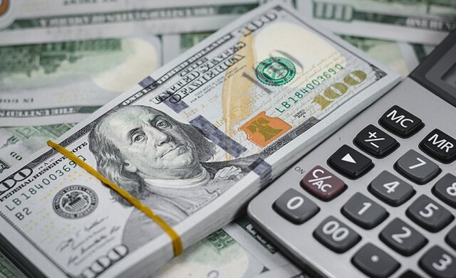 با ورود رئیس‌جمهور توزیع ارز مسافرتی متوقف می‌شود