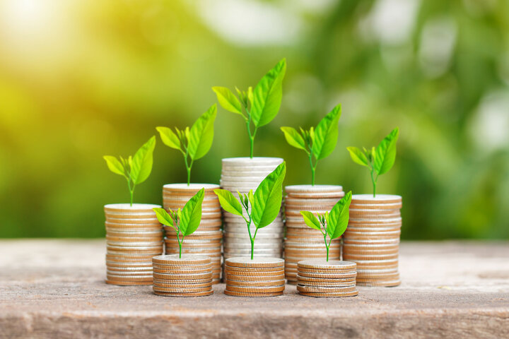 مجلس مانع ساماندهی معافیت مالیاتی صندوق های بورسی می شود؟