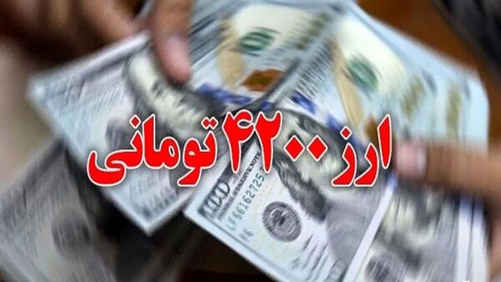 حذف ارز ۴۲۰۰ تومانی قطعا فشار را از دوش دولت برخواهد داشت