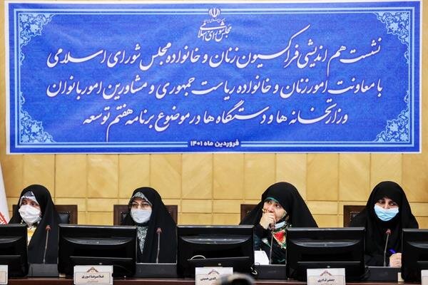 ضرورت توجه به وضعیت دختران در برنامه هفتم توسعه 