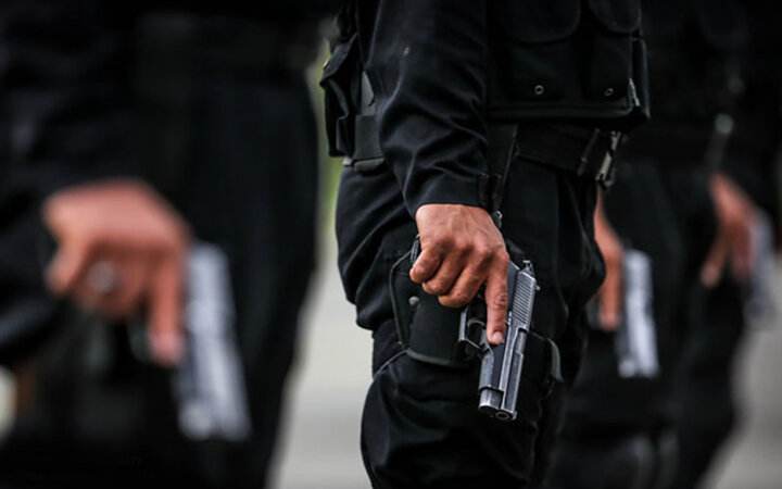 نه تنها مأموران انتظامی بلکه همه اشخاص مجاز به حمل اسلحه مشمول قانون بکارگیری سلاح می‌شوند