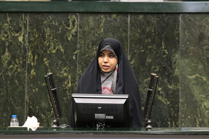 نباید به نام همراهی با دولت مجلس را از راس امور پایین بیاوریم