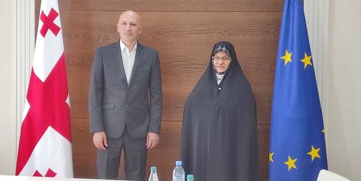 دیدار عضو کمیسیون امنیت ملی مجلس با رئیس آژانس ادیان گرجستان