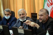 امیرعبداللهیان به سوالات نمایندگان در کمیسیون امنیت ملی پاسخ داد