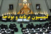 رقابت تاجگردون و حاجی بابایی برای ریاست کمیسیون برنامه و بودجه در مجلس دوازدهم