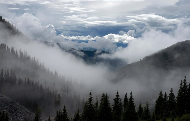 ماجرای تخریب هیرکانی/ رئیس جمهور به داد جنگل ابر برسد