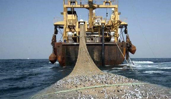 آقازاده‌ها با پول‌های هنگفتی که دریافت می‌کردند، دریا و سواحل آن را در اختیار چینی‌ها گذاشته بودند