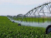 باید موضوع آب در ایران اولویت پیدا کند