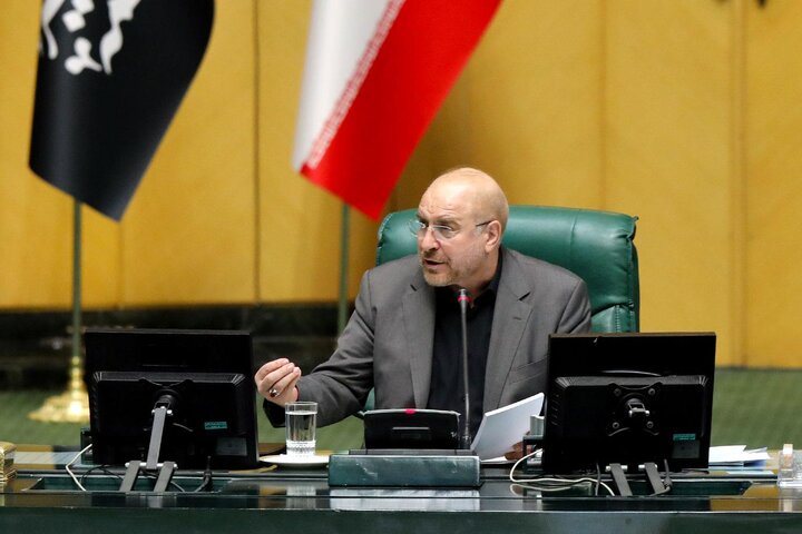 ۱۲ قلم کالا که زندگی مردم به آن وابسته است باید تضمین شود/ سازمان برنامه برای پرداخت دیون گندمکاران تدبیر کند