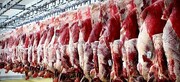 شرکت پشتیبانی امور دام در تامین نهاده دامی و ذخیره‌سازی گوشت قرمز کوتاهی کرده است