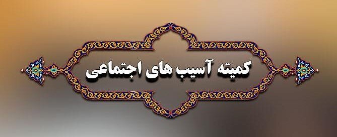 بررسی عملکرد دستگاه‌ها در مورد حاشیه نشینی و سکونتگاه‌های غیررسمی