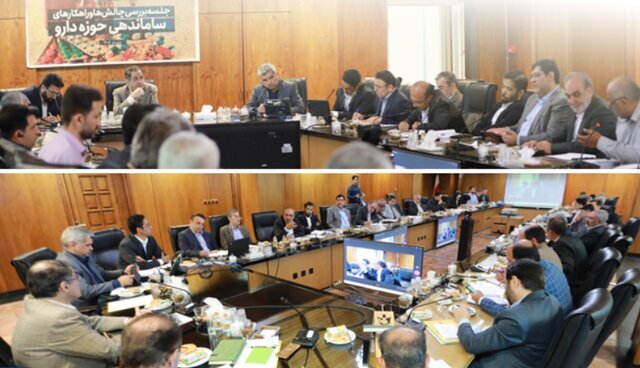 فعالیت بخش خصوصی در حوزه دارو و توجه به مشکلات آن‌ها یک امر ضروری است