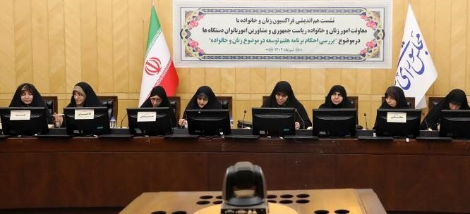 برنامه هفتم باید نسبت به مسائل زنان و خانواده غنی‌سازی شود

