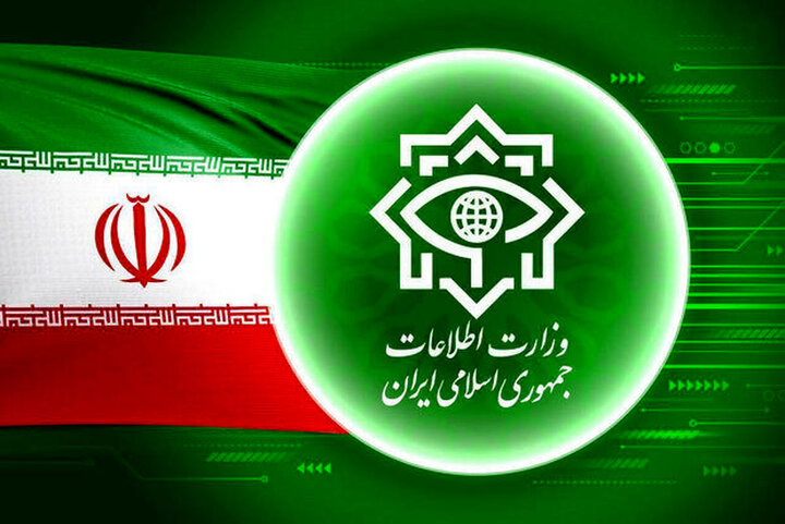مردانِ اطلاعاتی، بادیگاردهای خانه امنِ ما 