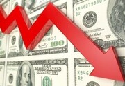 قیمت دلار با همان شدتی که رشد کرد، بزودی سقوط می‌کند