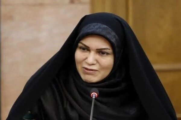 حمایت از نخبگان، مأموریت ویژه مجلس در اقتصاد پس از نفت