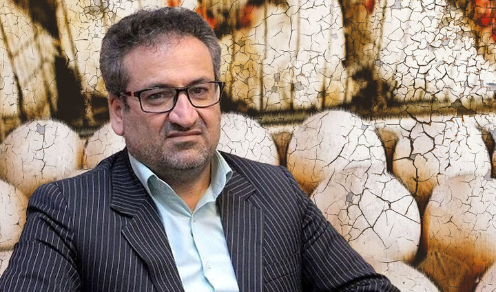 مصوبه مالیات برای دیه سرمایه هزینه را برای سوداگران افزایش می‌دهد