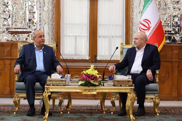 دیدار معاون دبیرکل جبهه مردمی برای آزادی فلسطین با رئیس مجلس