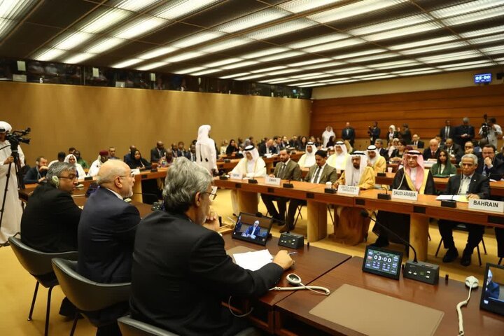 نشست ابتکاری ایران در ژنو؛ نمایش پوستر «نازیسم قرن ۲۱ را متوقف کنید»