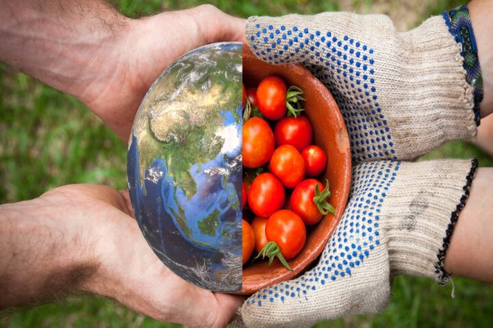 قطعی‌های برق امنیت غذایی کشور را تهدید می‌کند /مردم از قطعی‌ها به ستوه آمده‌اند