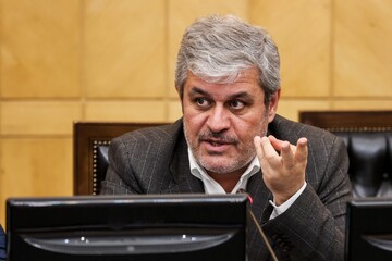 مجلس به دنبال سیاست کنترلی نرخ ارز 