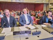 سازمان ملل نتواسته از صلح و حقوق بشر دفاع کند