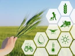 جبران افزایش هزینه تولید در صنعت و کشاورزی