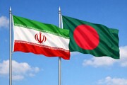 هیات پارلمانی ایران برای نظارت بر انتخابات بنگلادش وارد داکا شد