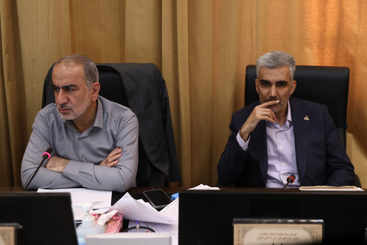 کمیسیون حمایت از تولید