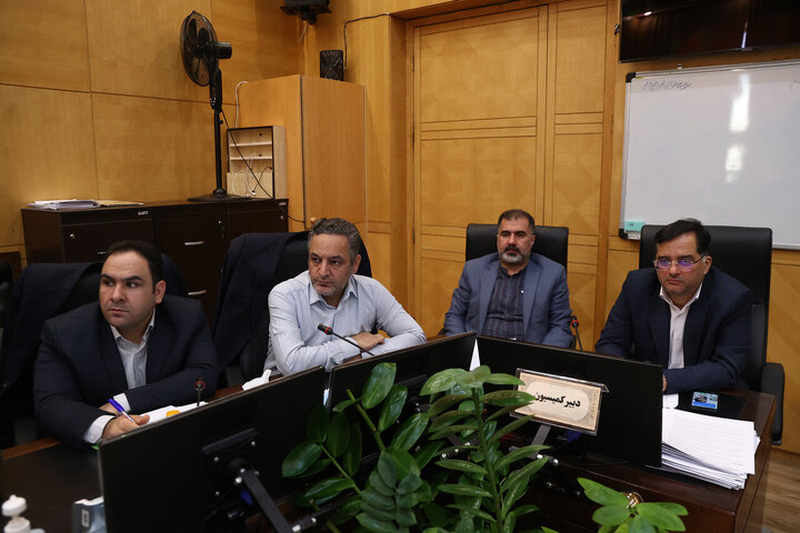 کمیسیون حمایت از تولید