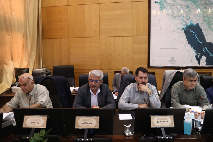 کمیسیون حمایت از تولید